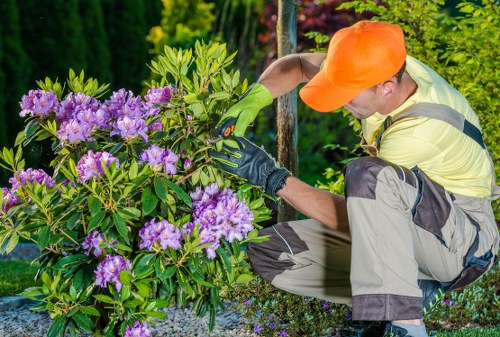 Accessibility-focused landscaping page for Fulham with inclusive design elements