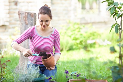 Review of a landscaping concern with project notes