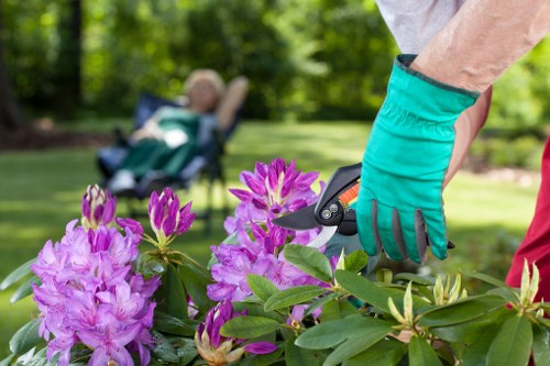 Planting and garden preparation for a Fulham property