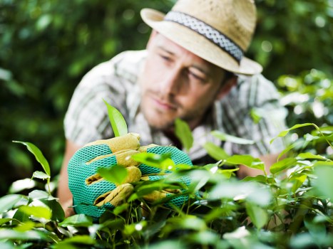 Professional resolution of a landscaping service complaint