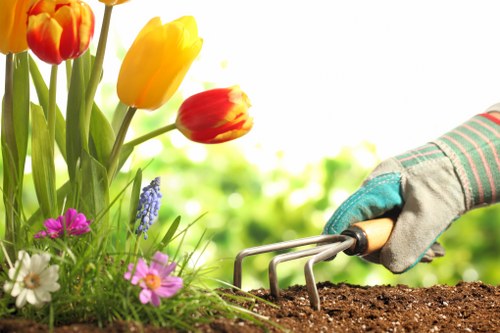 Accessible service information for Fulham landscaping users