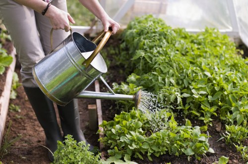 Low-maintenance artificial lawn for a Fulham outdoor space